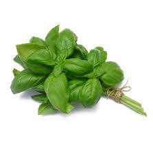 Basilic 1 bouquet